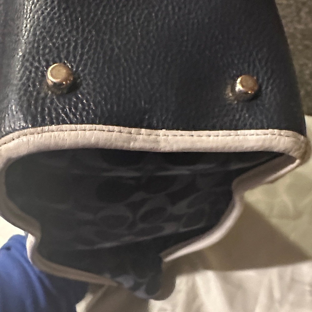 Coach Tall Dempsey Carryall Signature Navy and Cream Tote - Picture 5 of 11